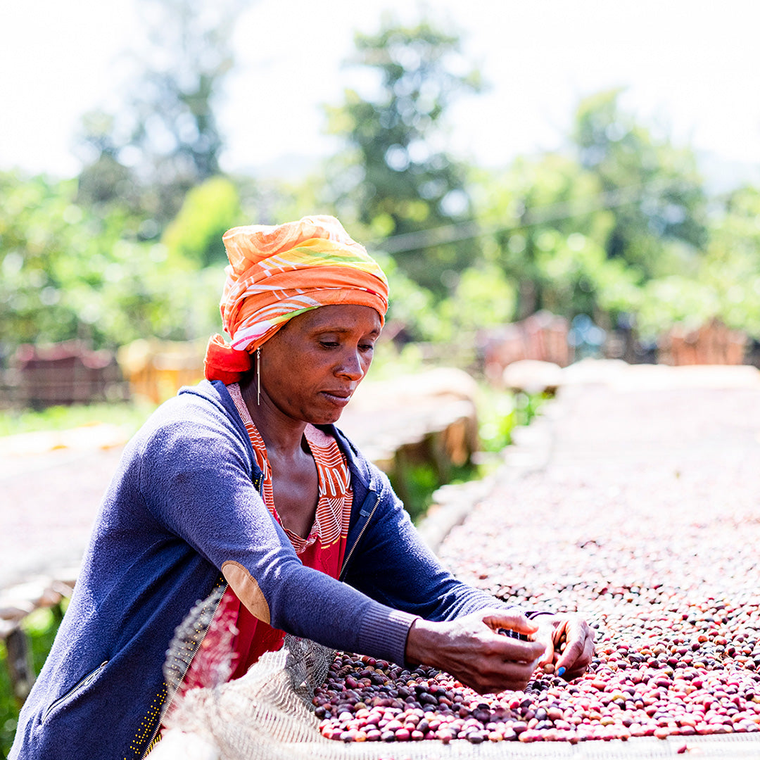 ADOLA STATION • AN INNOVATIVE APPROACH TO AN HEIRLOOM