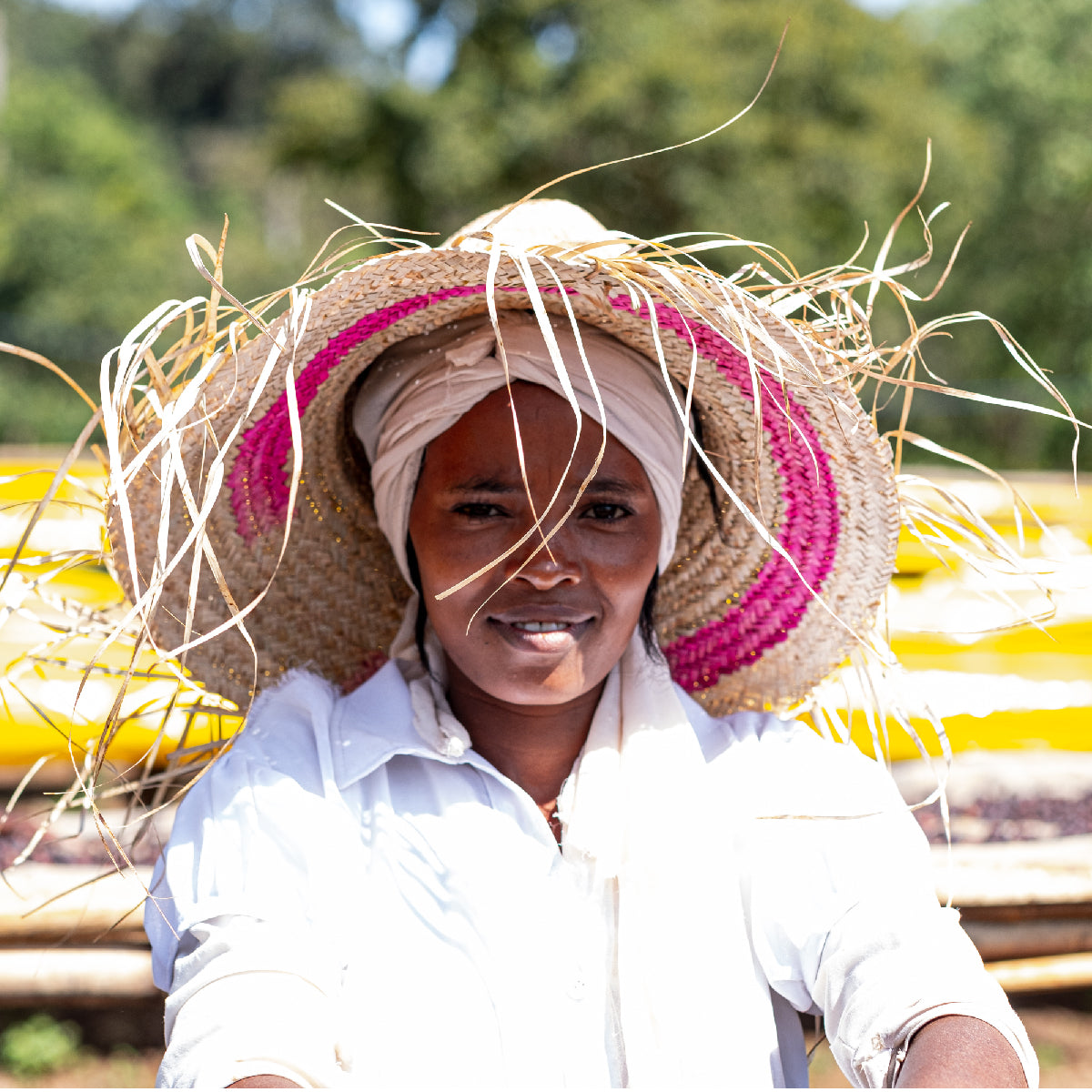 Bole Hora Natural • A single estate Ethiopian