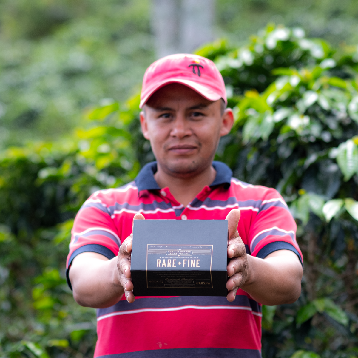 La Vega • Colombian Direct Trade