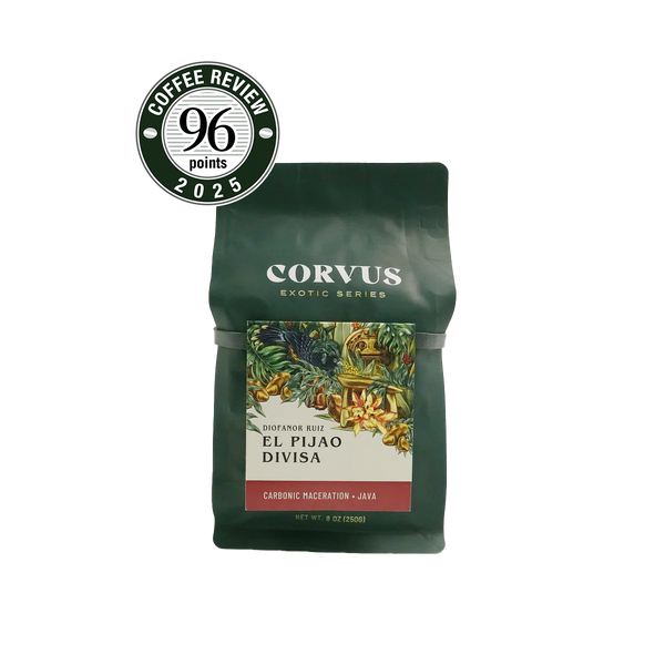 El Pijao Divisa Java - Corvus Coffee