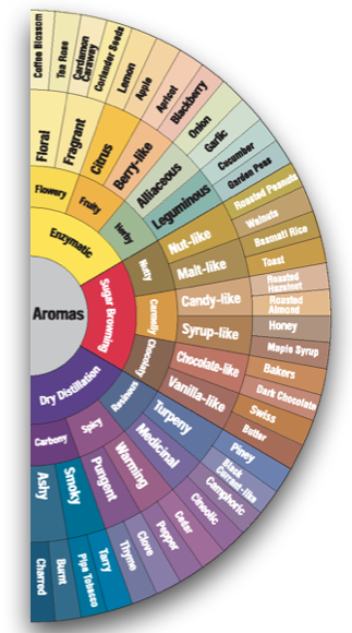 Changing Things up for Santa Inez