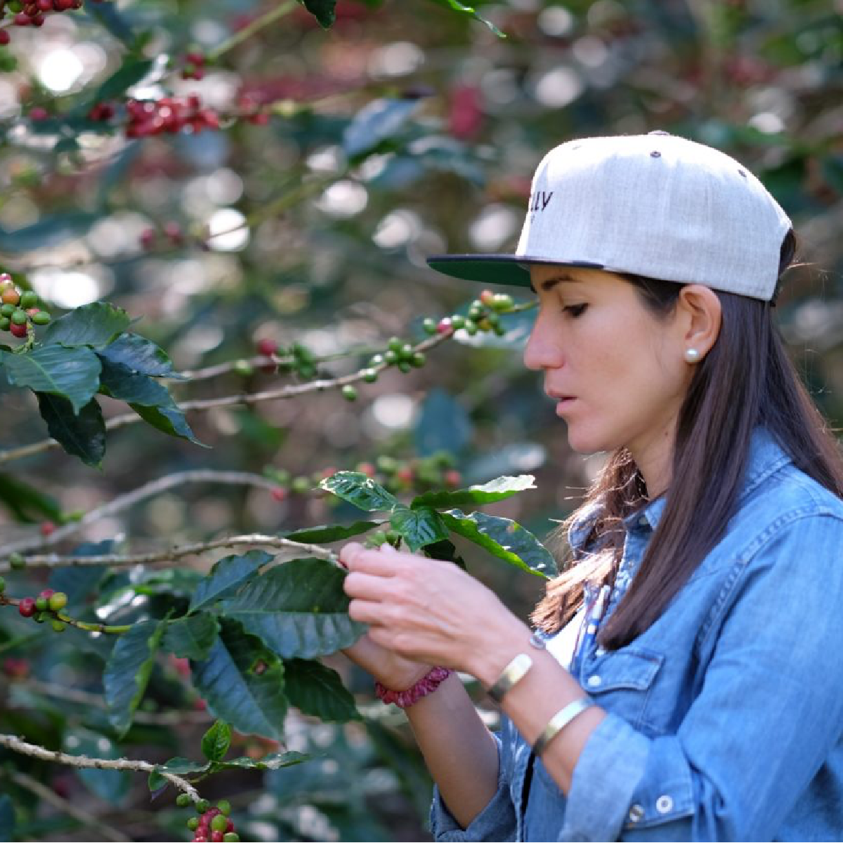 San Isidro • First foray into Honduran coffees