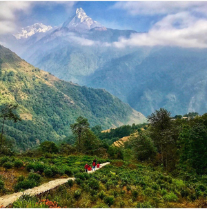 Nepalese coffee