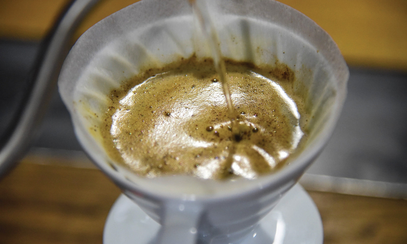 I Now Pronounce You Coffee and Brewer