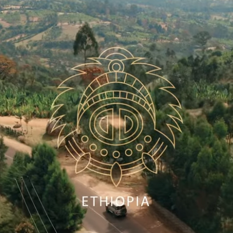 Gesha Village- Origin Video