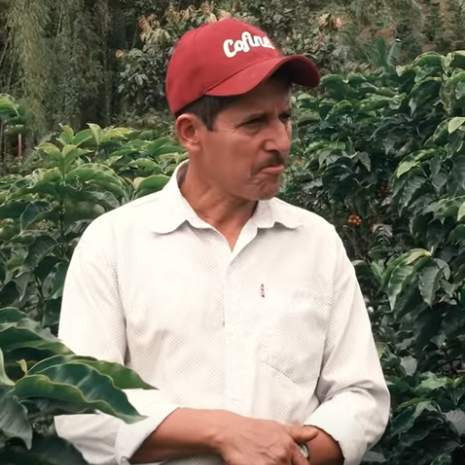 Villa Betulia- Origin Video