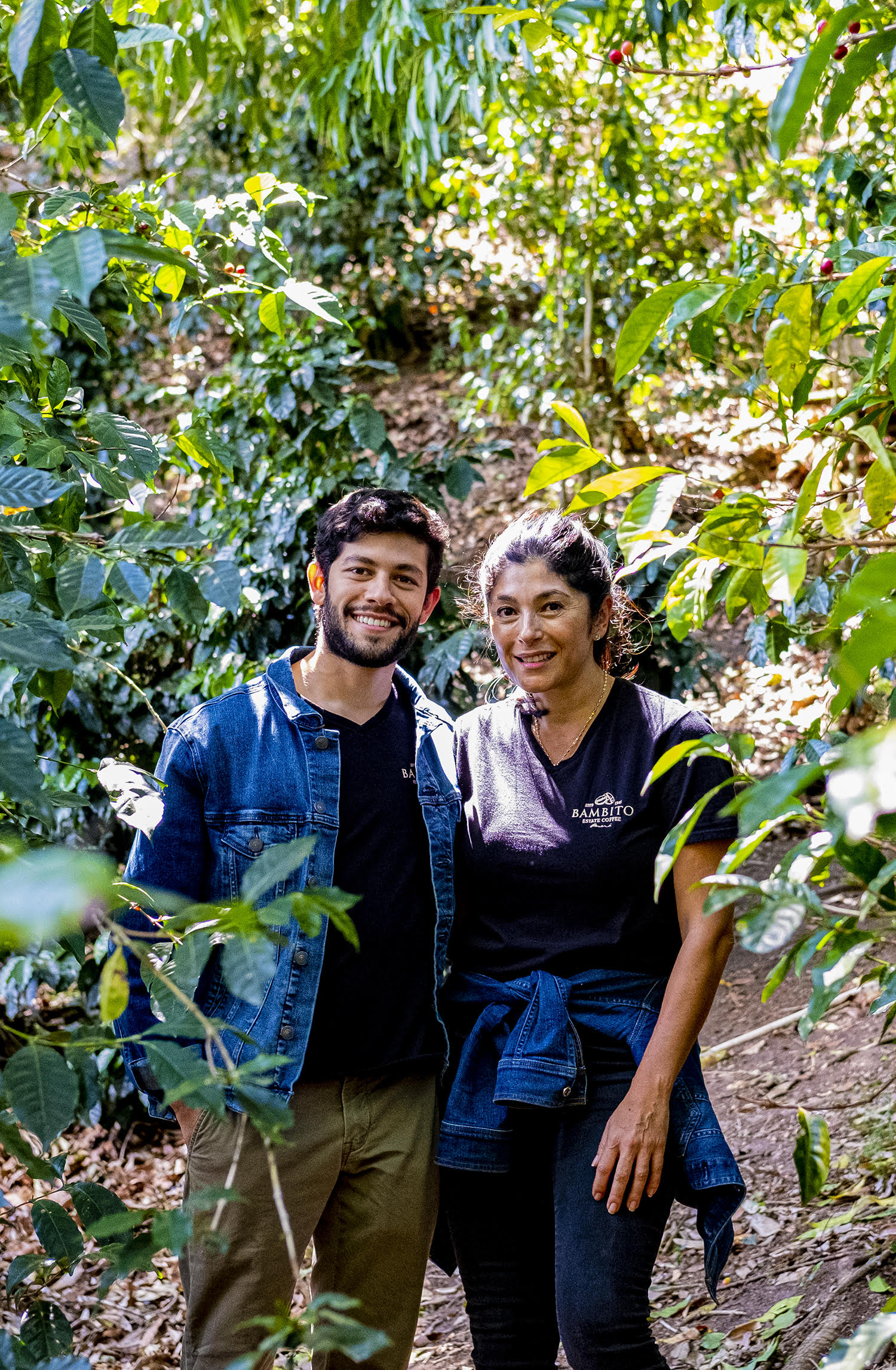 Notes from Bambito • Panama