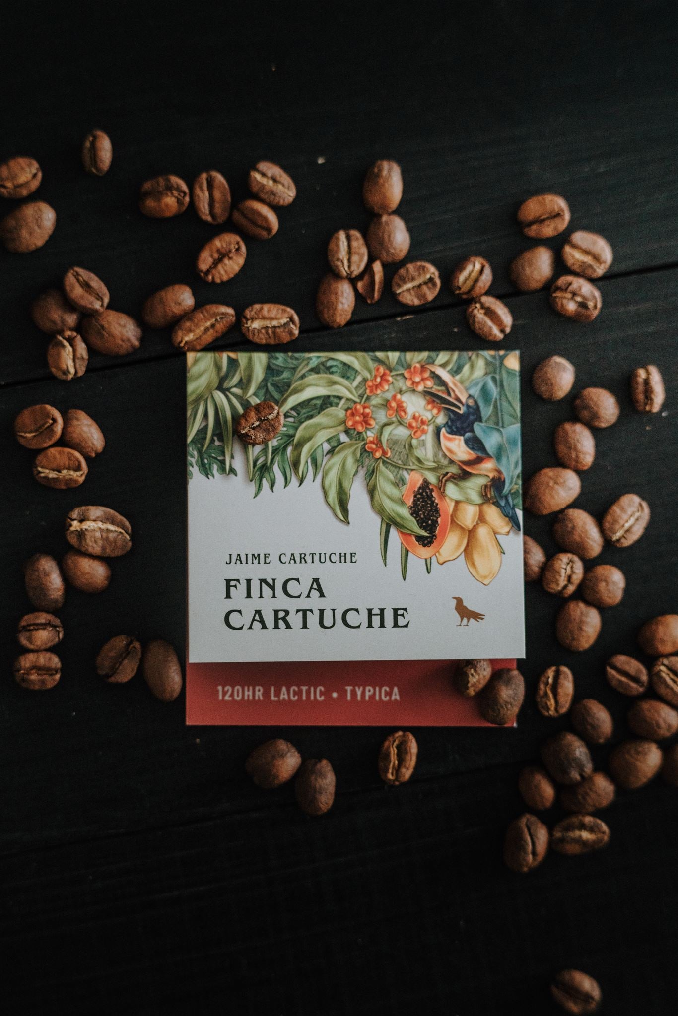 Finca Cartuche • Ecuador