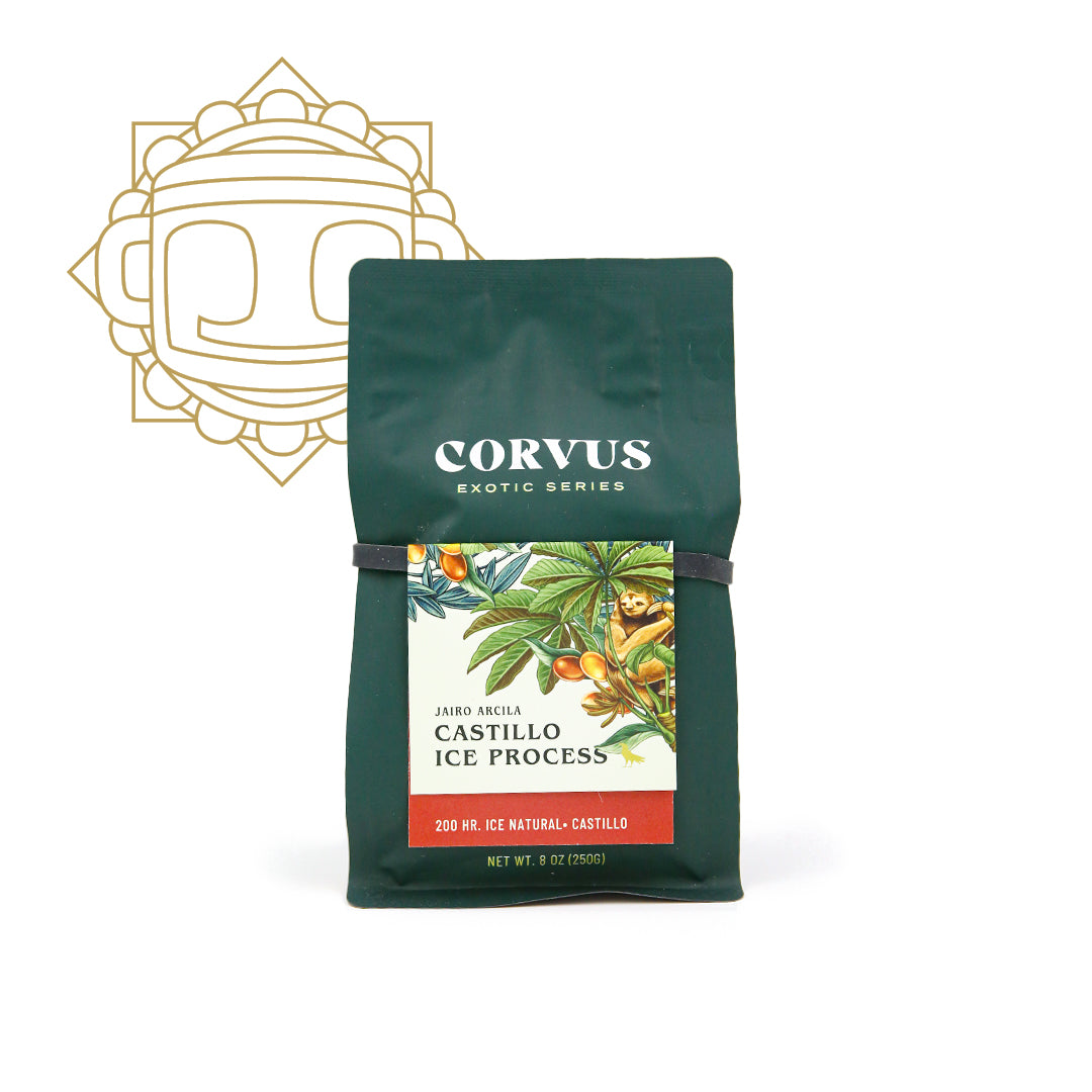 Castillo Ice Process Dial