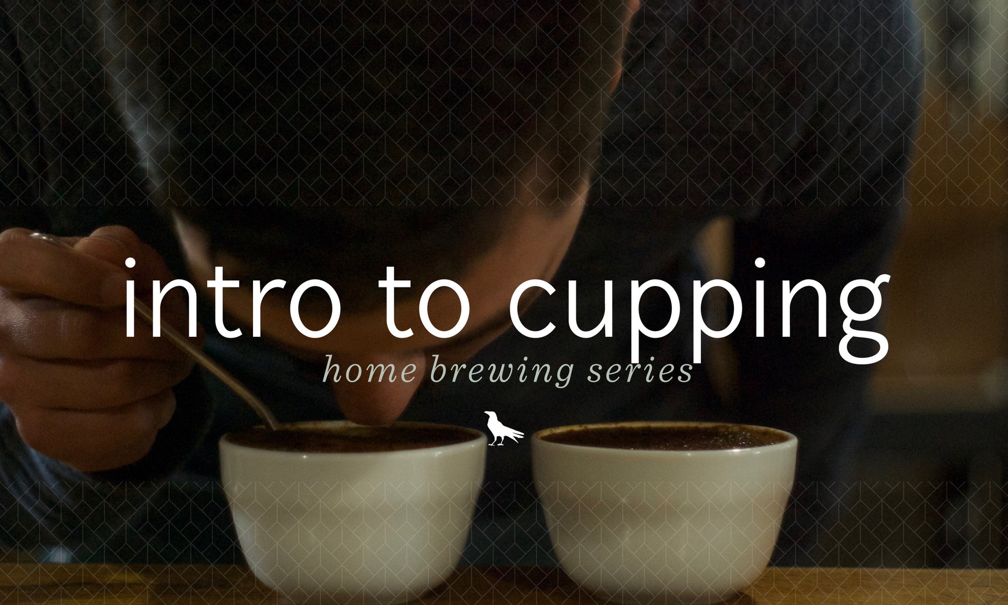 Coffee Cupping, what is it really for?