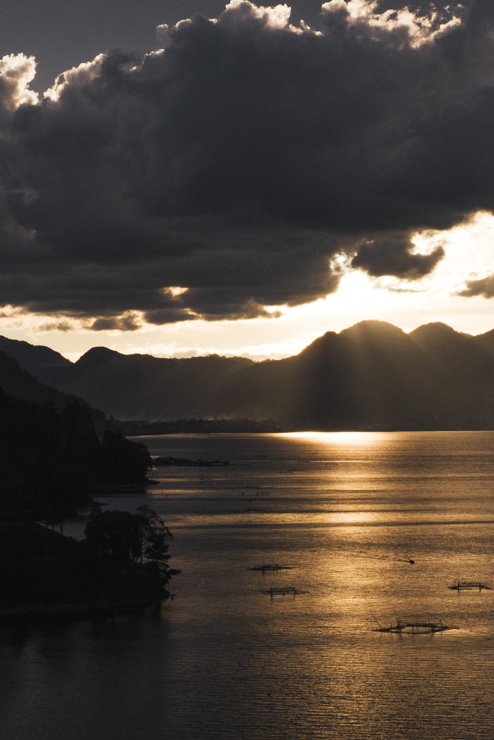 Indonesian Specialty Coffee: From Skepticism to Appreciation