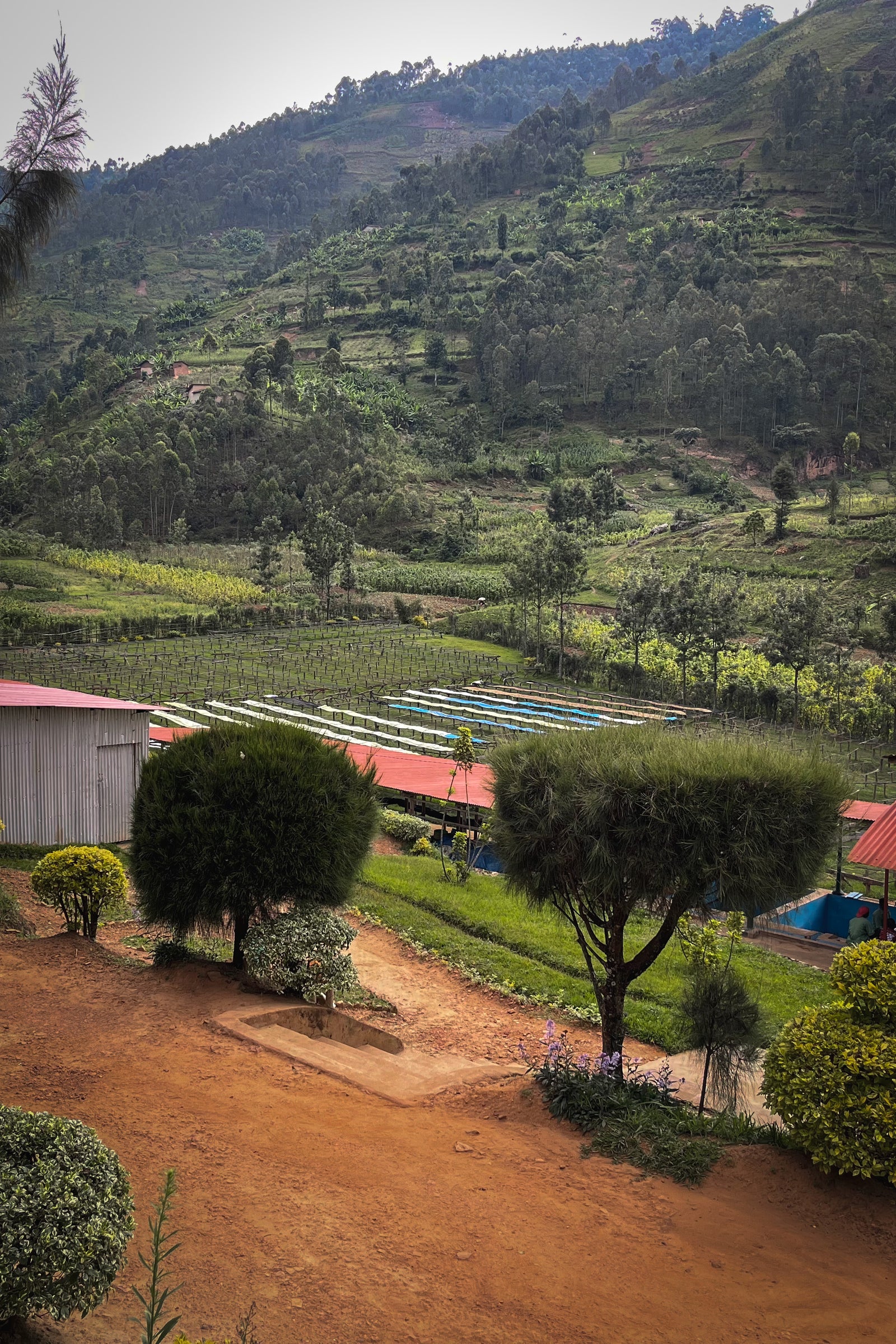 Exploring Natural Processing with Tumba Natural