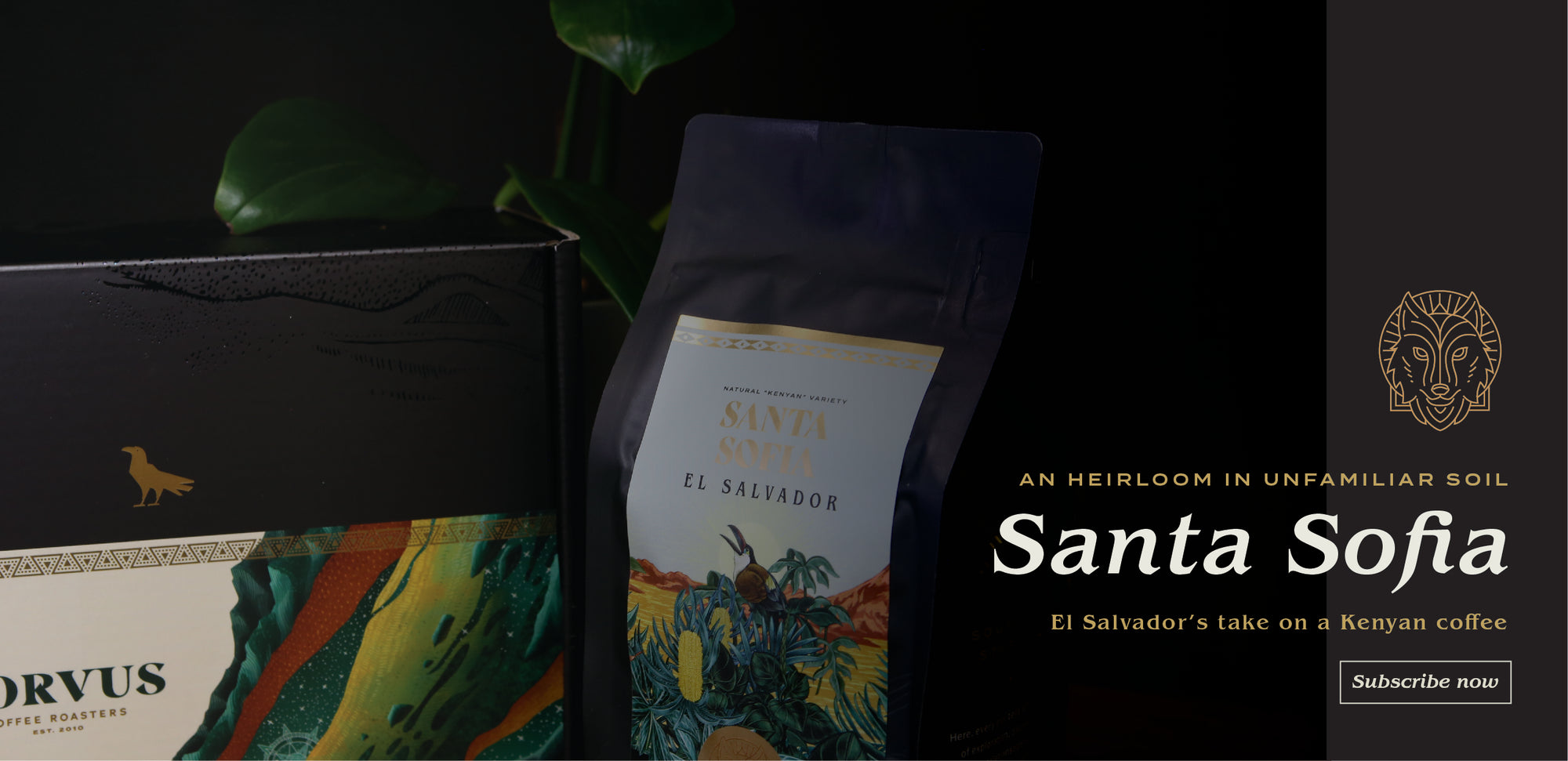 Coffee Subscription