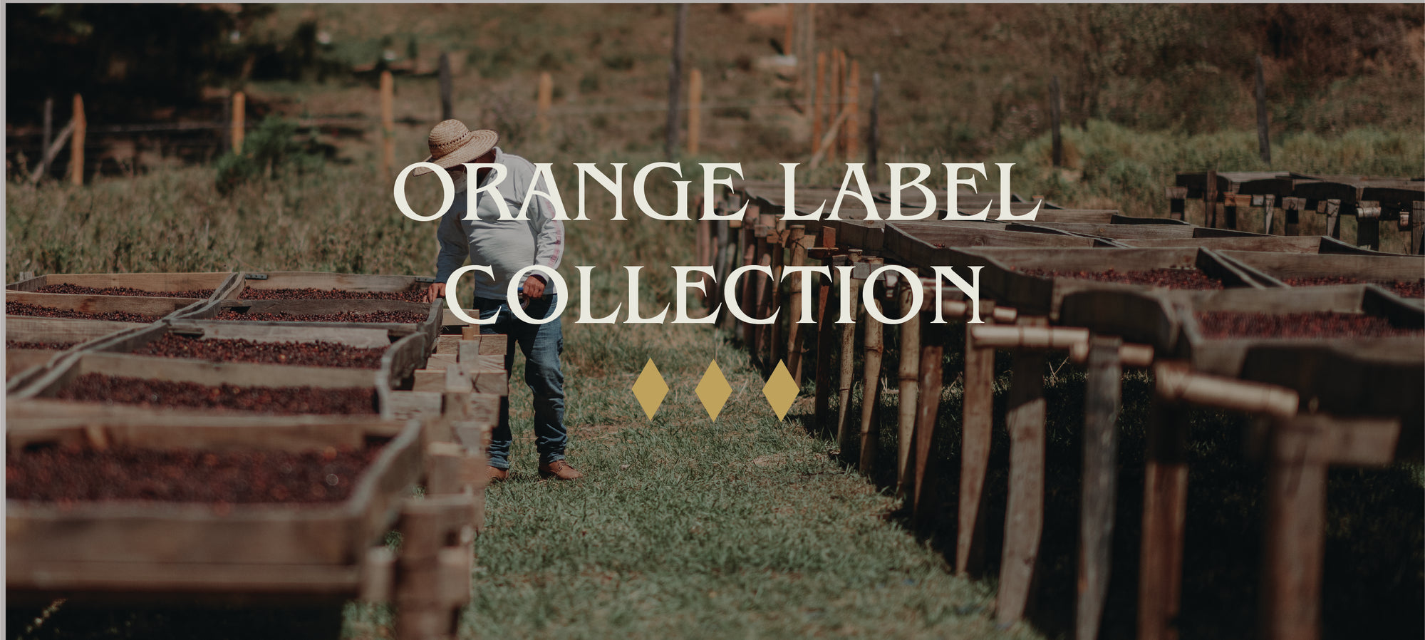 Orange Label Coffees