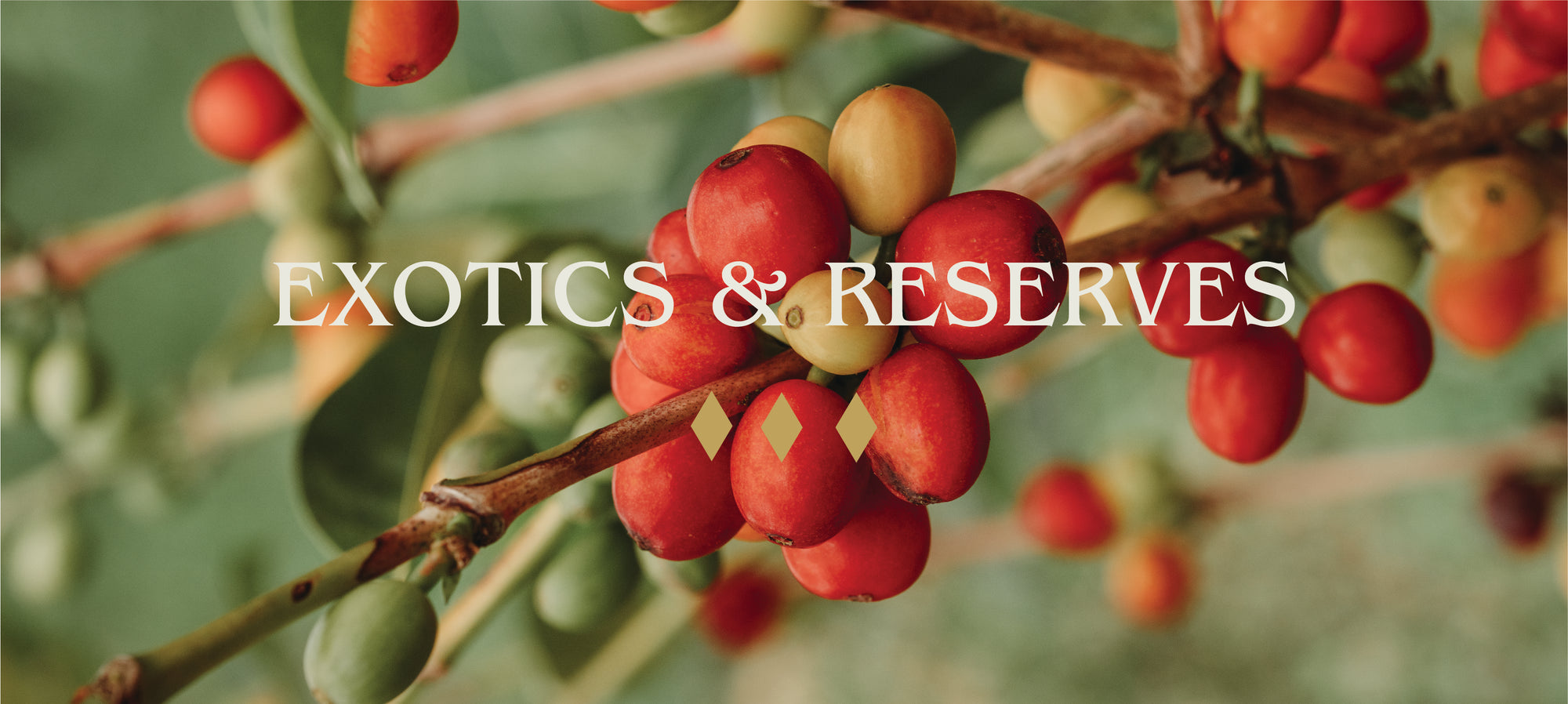 Reserve and Exotics