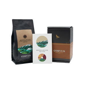 Corvus Traveller's Subscription
