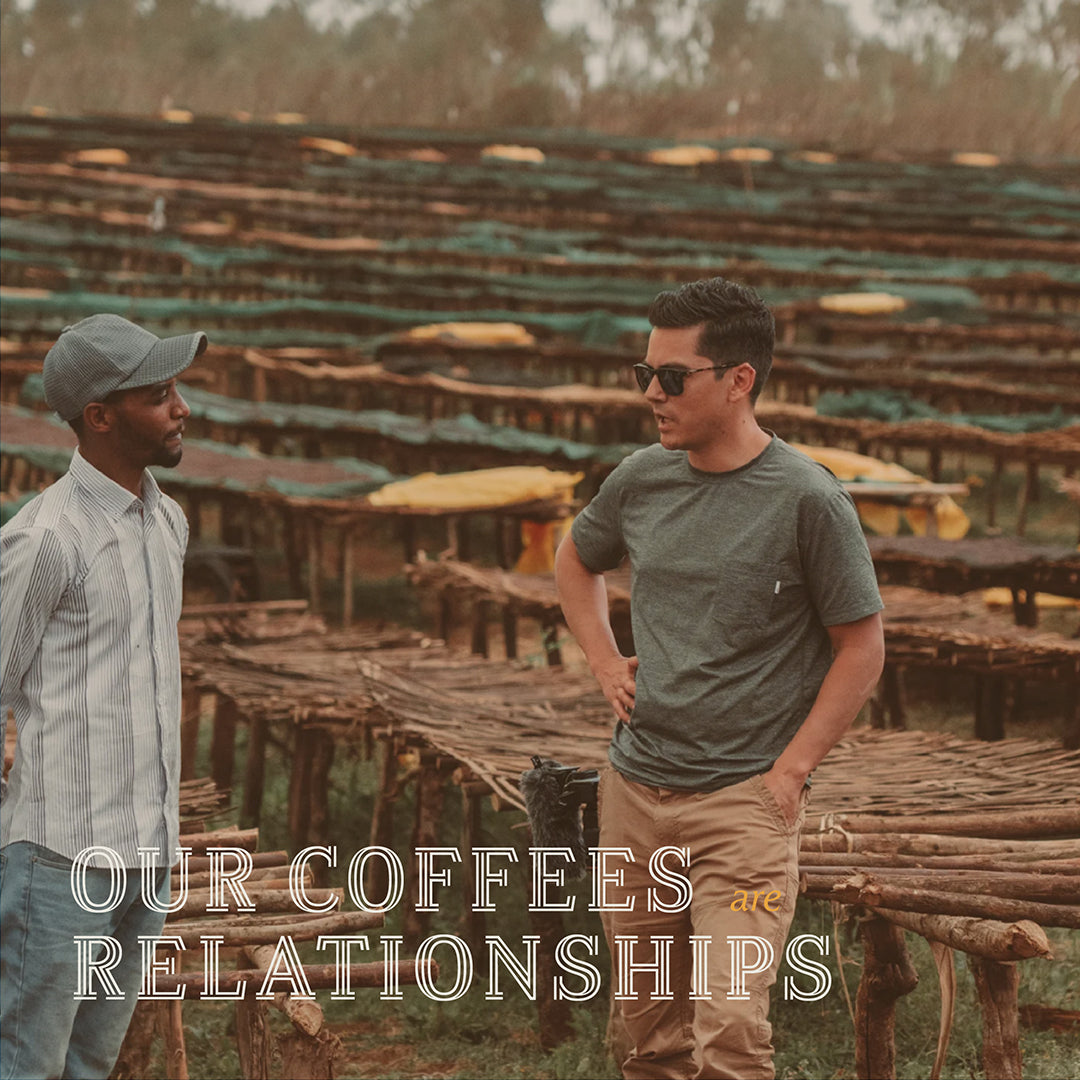 Corvus Coffee Roasters, photo 6
