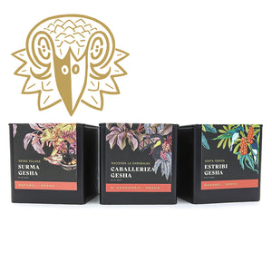 Boundless Geshas Bundle