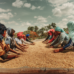 Explore the world of specialty craft coffee!