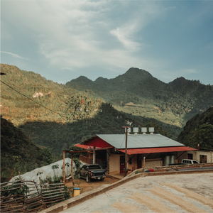 Explore the world of specialty craft coffee!