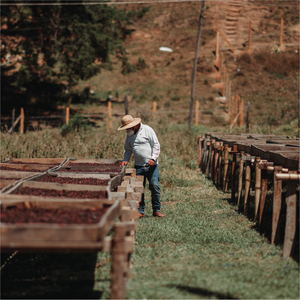 Explore the world of specialty craft coffee!