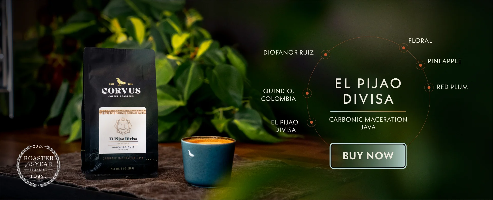 Corvus Coffee Roasters