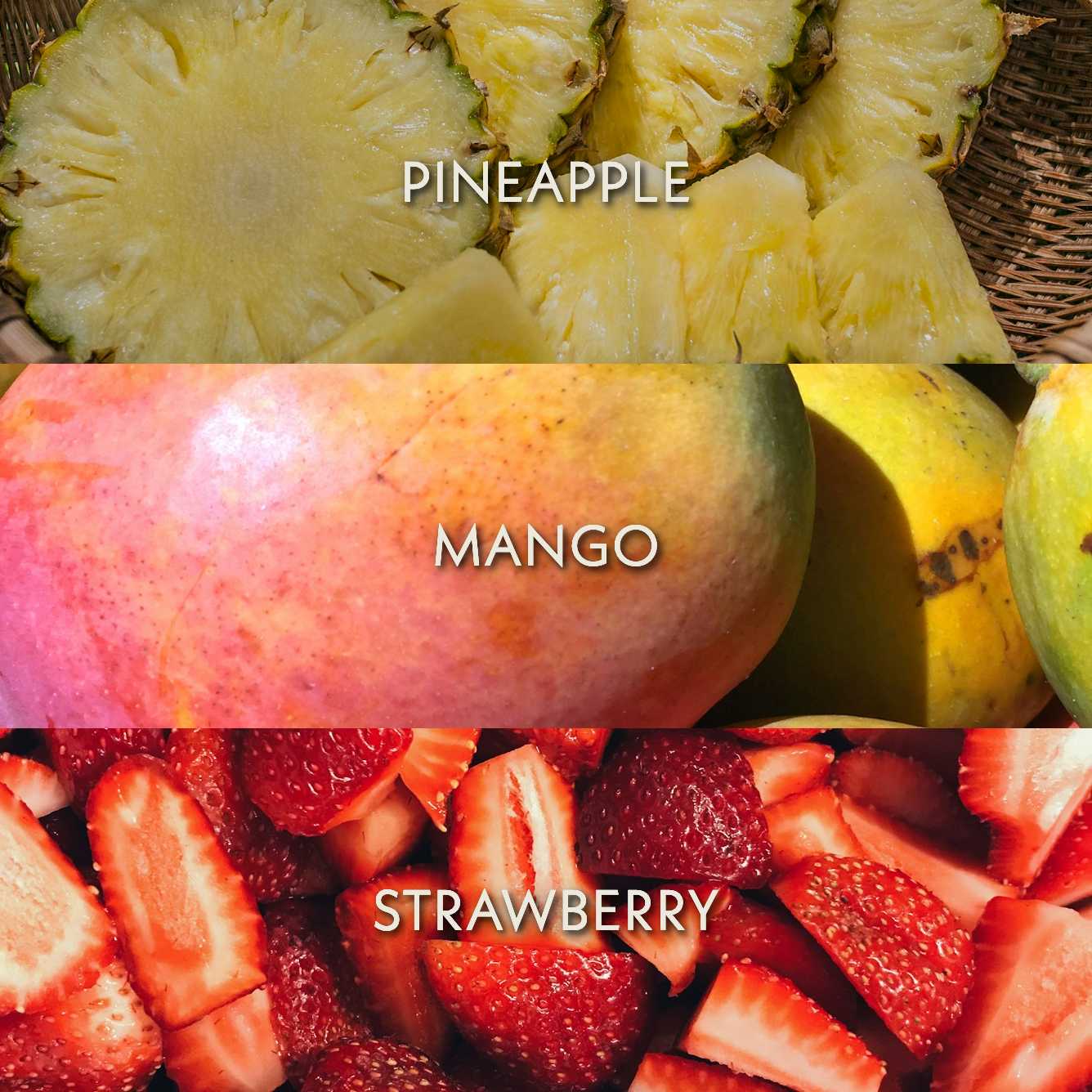 Finca Deborah Aril