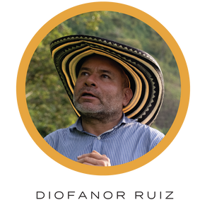 El Pijao Divisa
