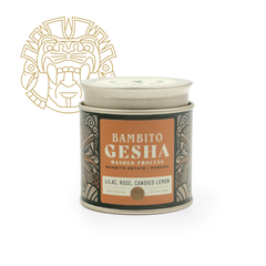 Bambito Gesha • Gods of Coffee 60g - Corvus Coffee