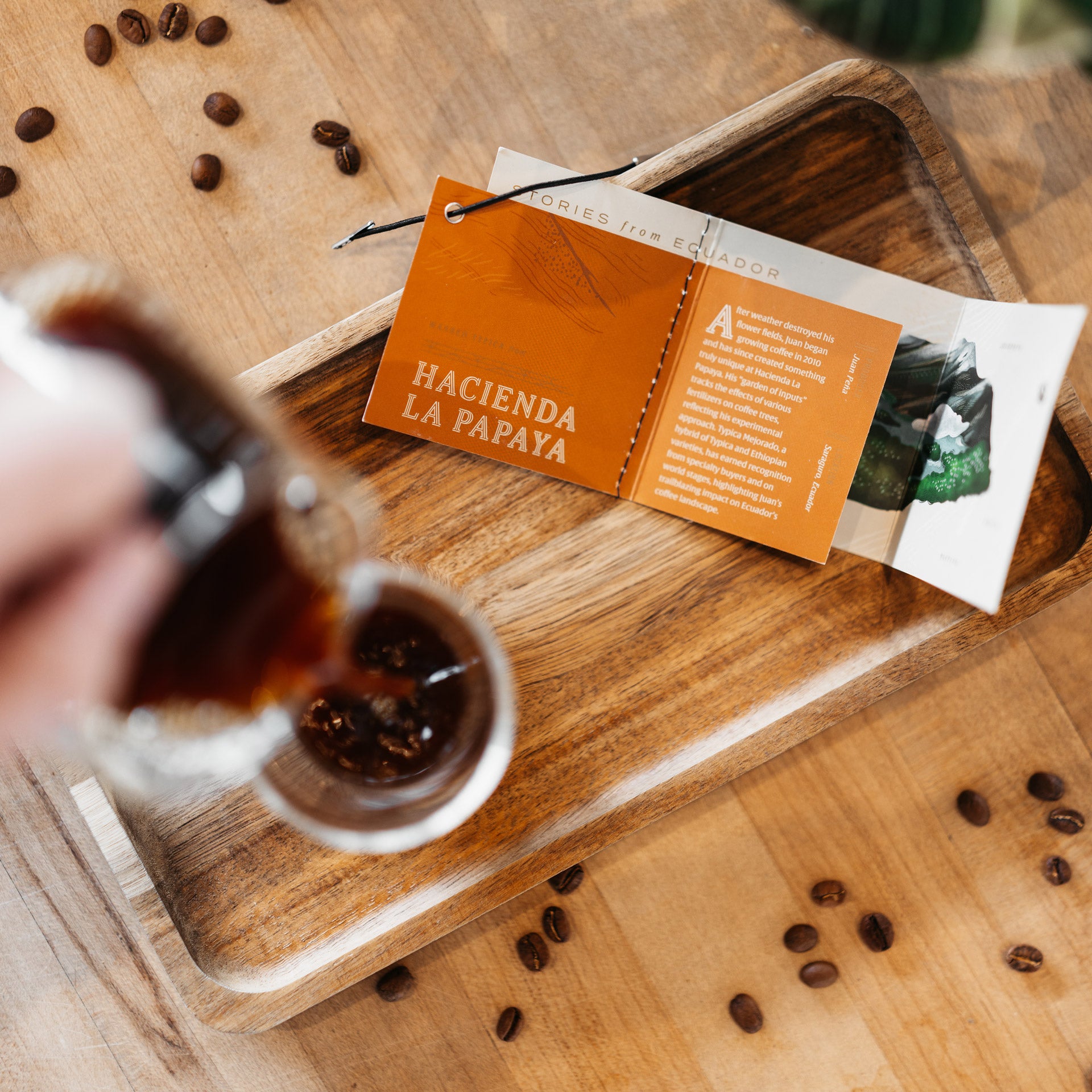Hacienda La Papaya Typica - Corvus Coffee