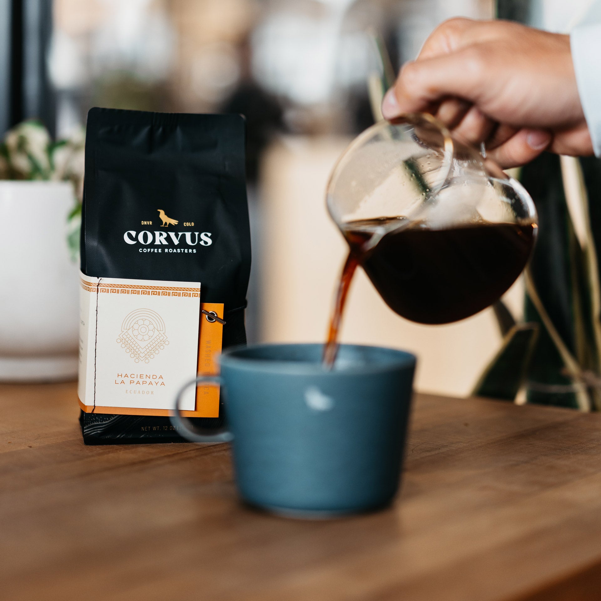 Hacienda La Papaya Typica - Corvus Coffee