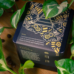 Savage Iris Estate • Aril & Symmetry Geisha • Reserve 200g Tin