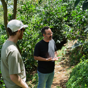 Finca La Esperanza
