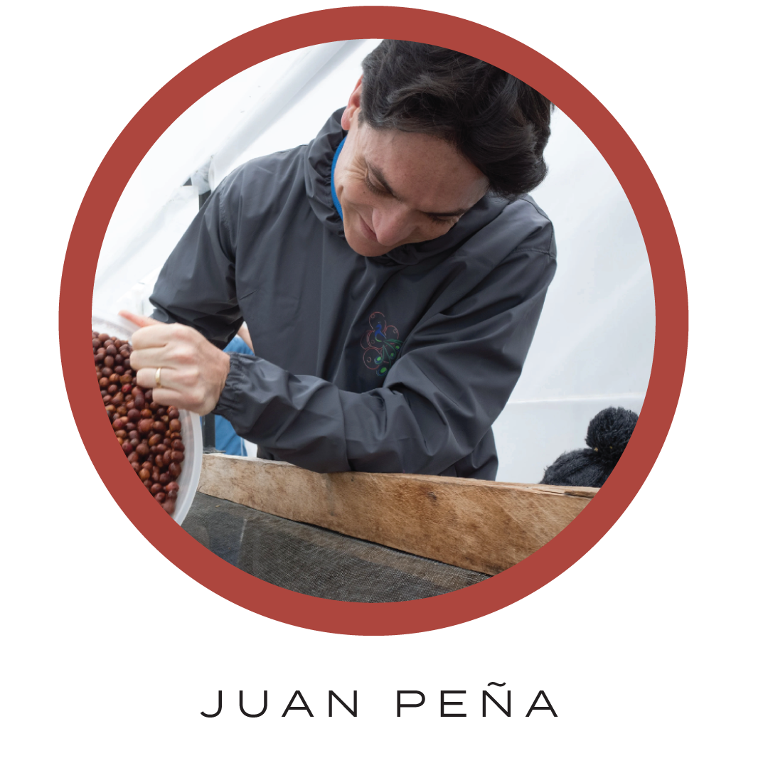 Hacienda La Papaya B7