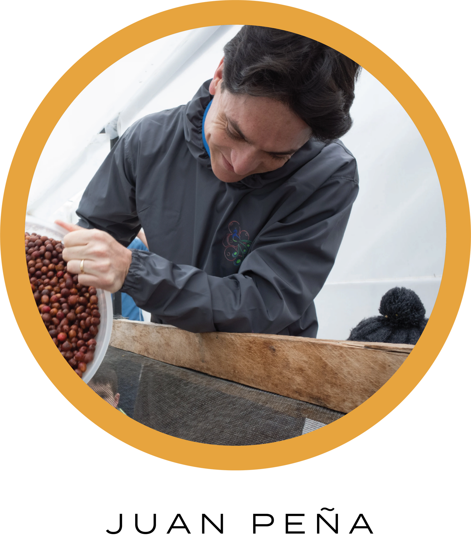 Hacienda La Papaya Typica