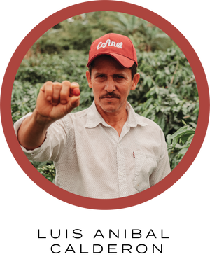 Villa Betulia Primitivo • Colombia • Anaerobic Natural 8oz