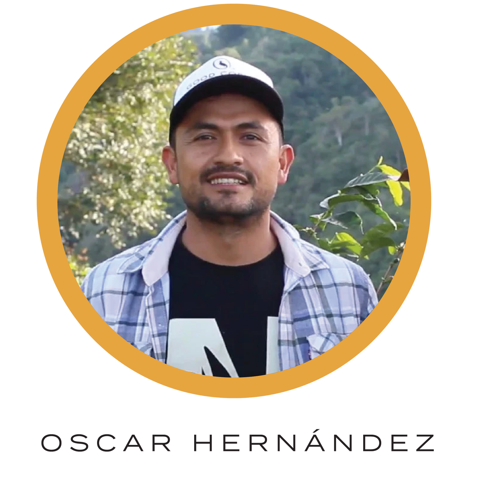 Nativo Nogales Caturra