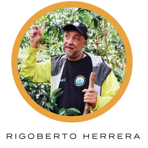 Finca Hawaii Mokka