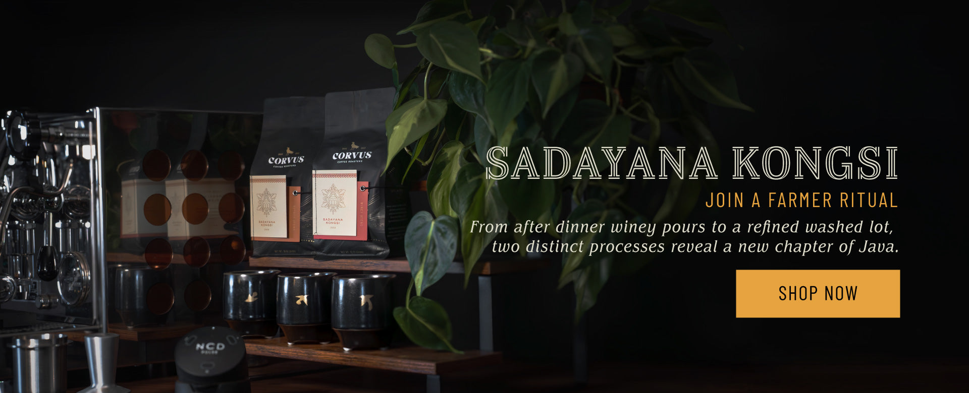 Corvus Coffee Roasters • Denver based specialty coffee roasters