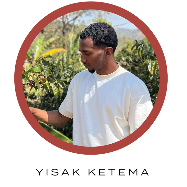 Ayla Bombe - Corvus Coffee