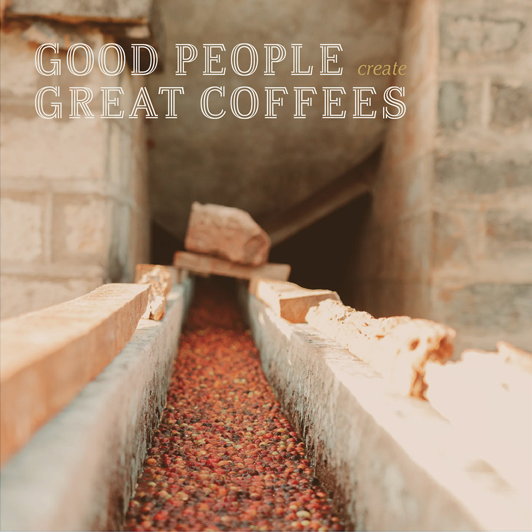 Corvus Coffee Roasters, photo 4