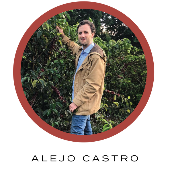 alejocastro_600x.png?v=1762992000