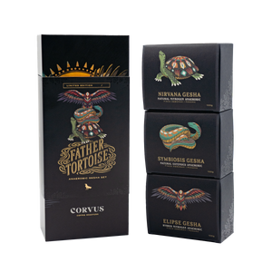 Father Tortoise Set