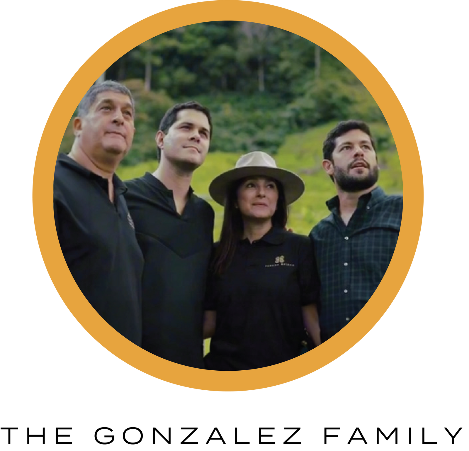 Bambito Gesha • Gods of Coffee 60g