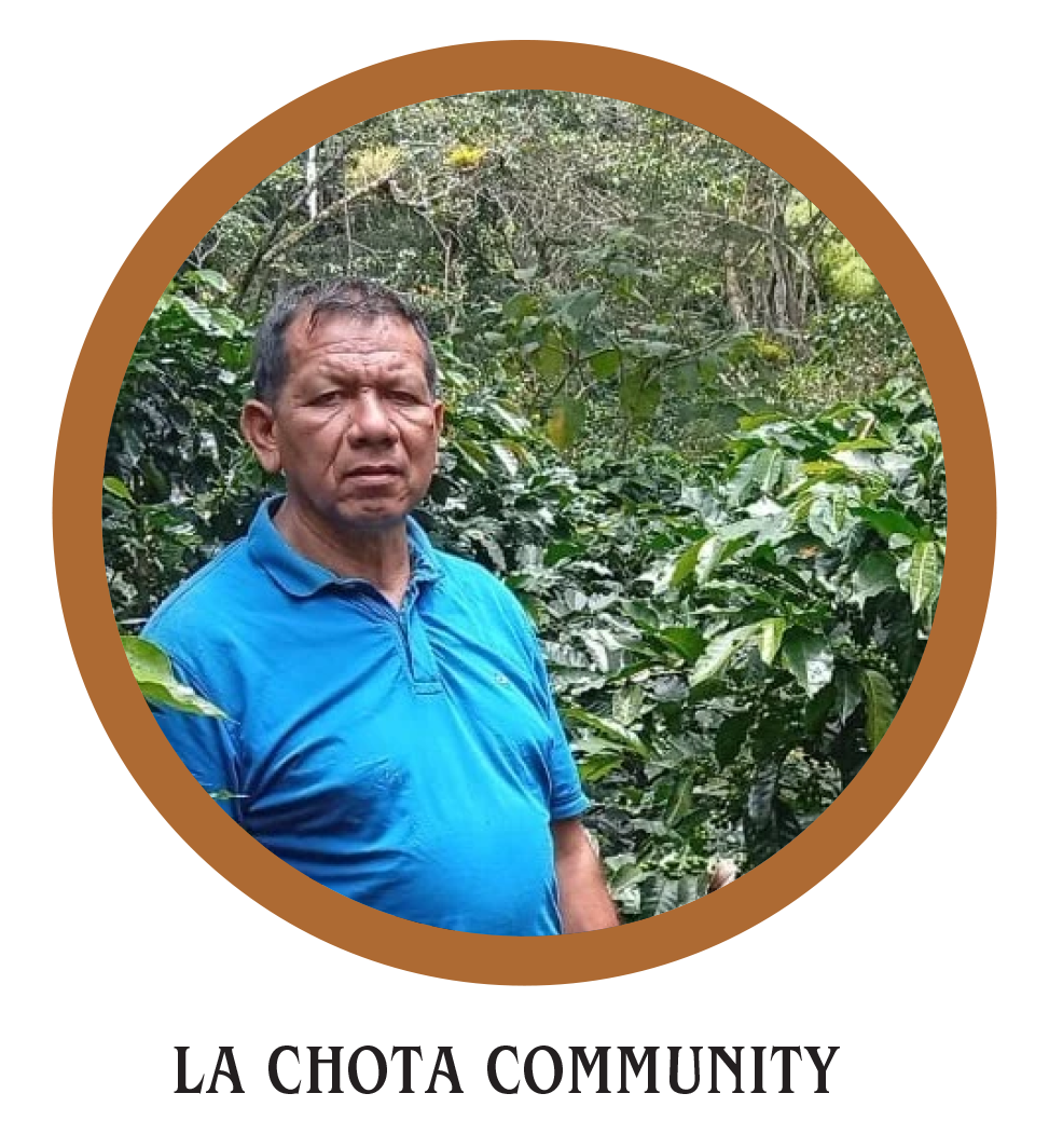 Finca Los Aguacatones Washed - Corvus Coffee