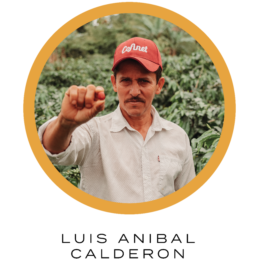 Explore Rare Colombian Coffees from the Luis Anibal!