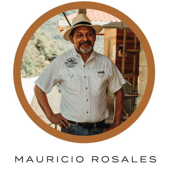 Maravilla - Corvus Coffee