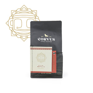Villa Betulia Primitivo • Colombia • Anaerobic Natural 8oz