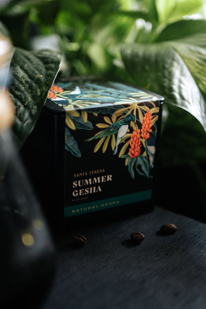 Finca Santa Teresa Summer • Panama • Natural Gesha