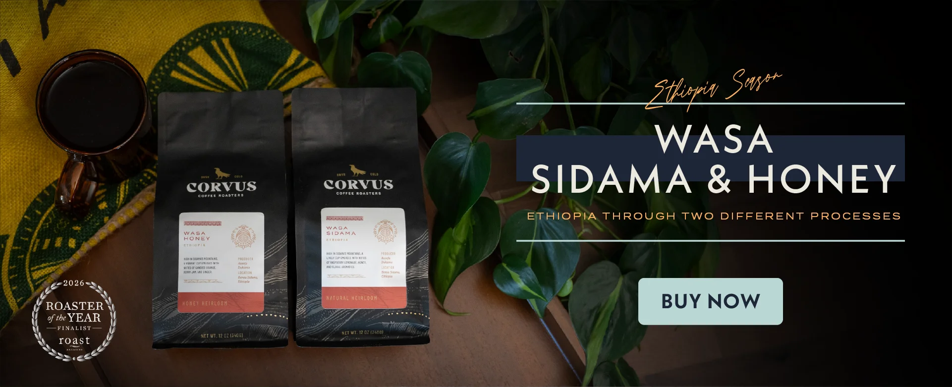 Corvus Coffee Roasters